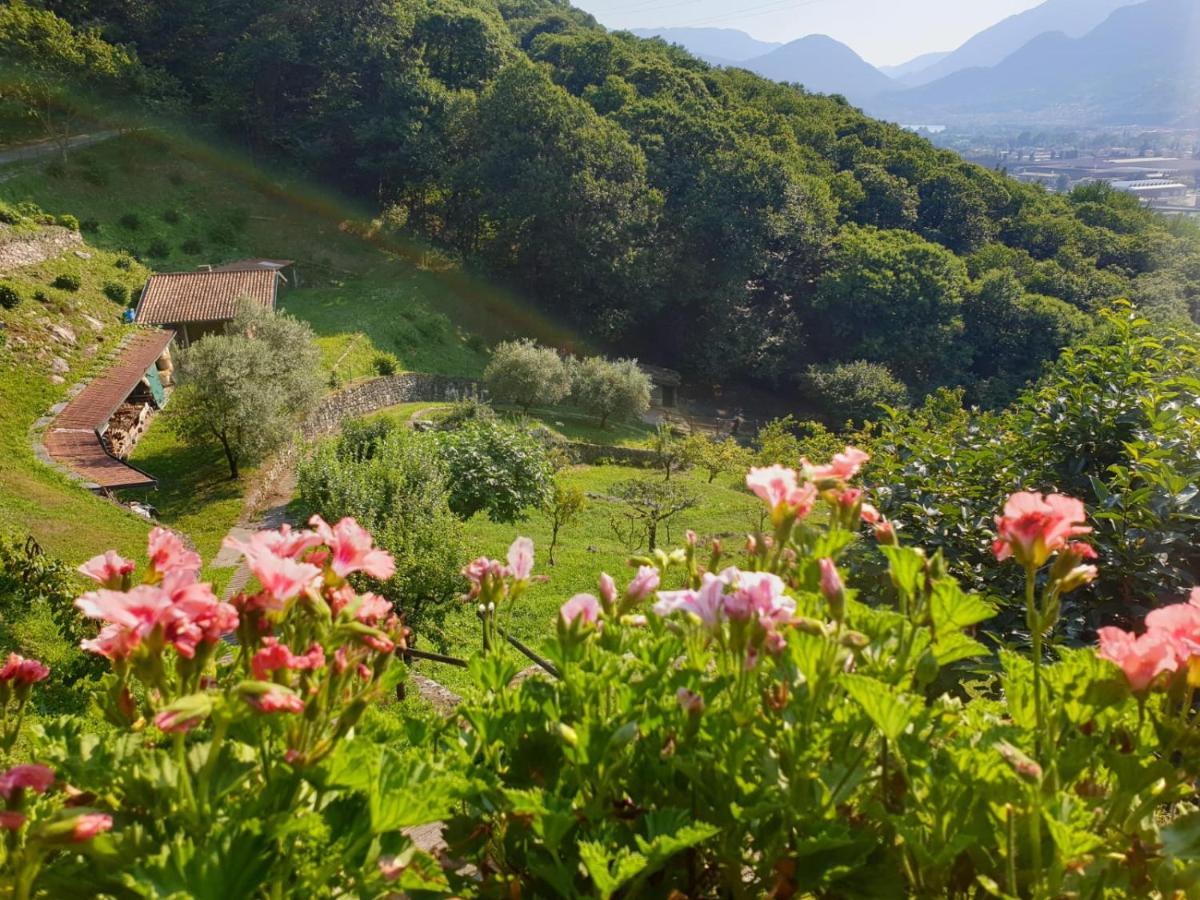 Villa D'Epoca Le Capele Gratacasolo Εξωτερικό φωτογραφία
